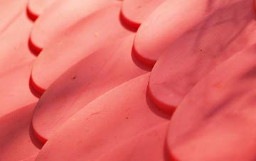 Polnish plastic roof costs