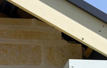 soffit repair Polnish