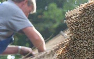 professional Polnish thatchers