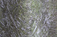 Polnish fibreglass roof work