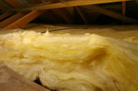 Polnish pitch roof insulation